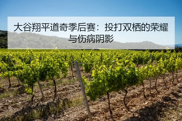 大谷翔平道奇季后赛：投打双栖的荣耀与伤病阴影