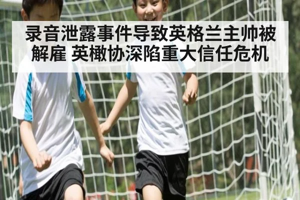 录音泄露事件导致英格兰主帅被解雇 英橄协深陷重大信任危机